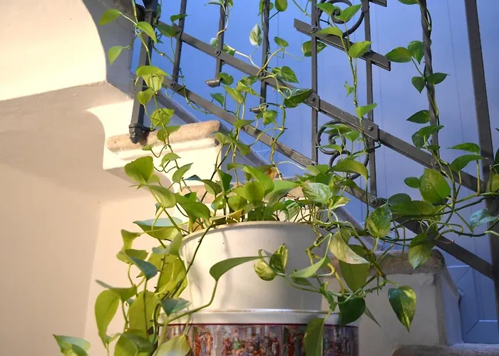 Il Balcone Di Aurora Lägenhet Verona