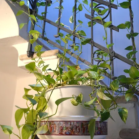 Il Balcone Di Aurora 公寓 维罗纳